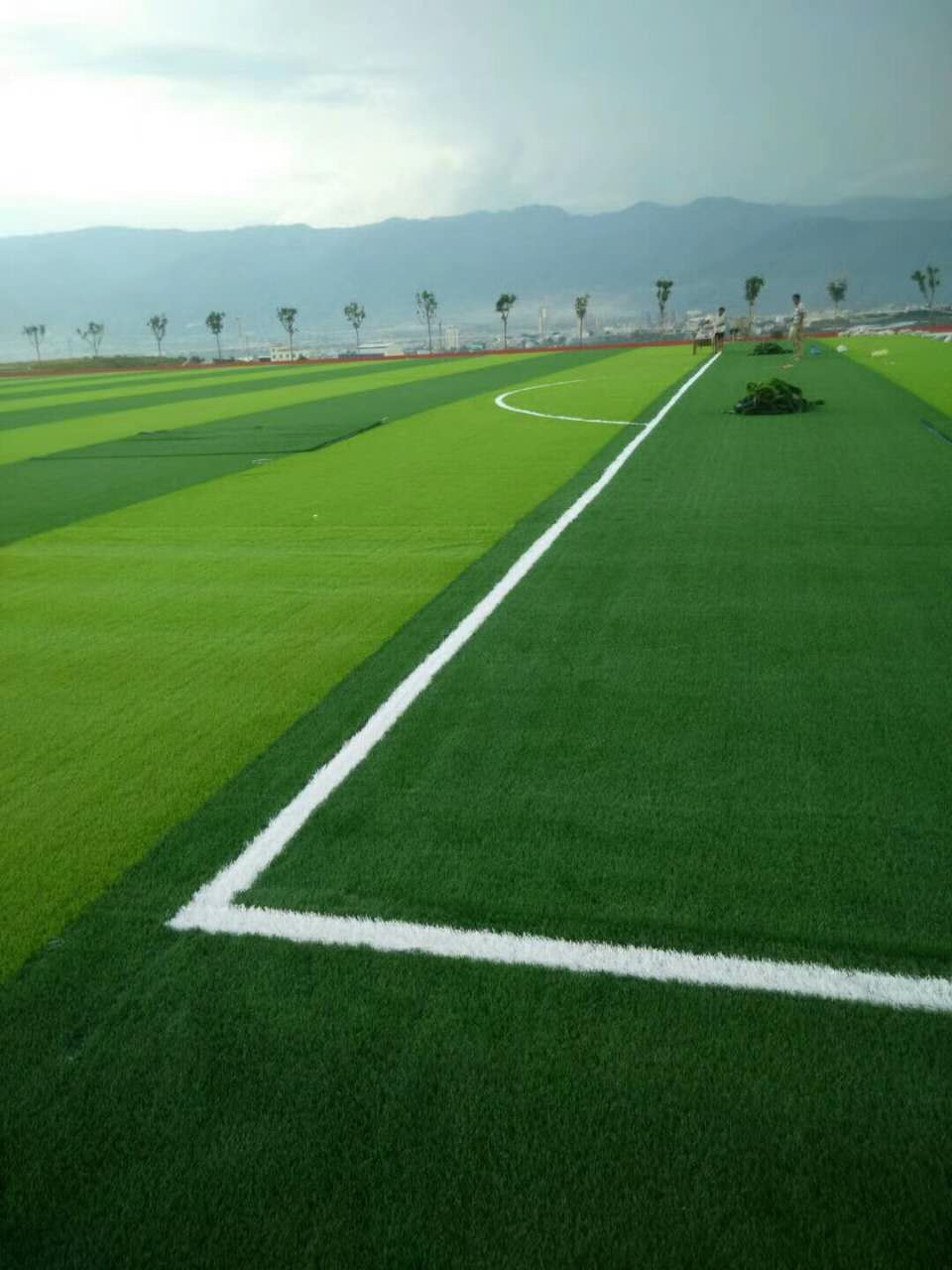 巴西vs阿根廷直播
